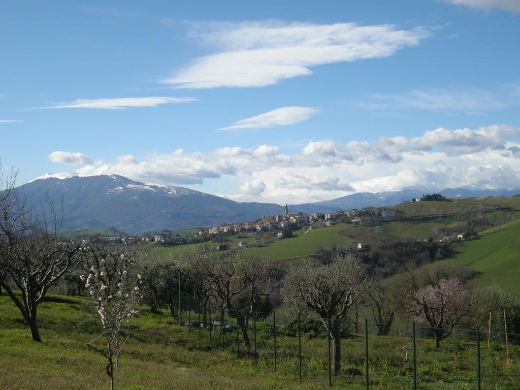 Bed And Breakfast San Martino Castignano Exteriör bild